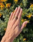 Gold Plated Vertebrae Ring Size 7