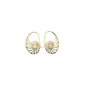 Ammonite Teardrop Earrings